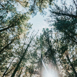 Abeceda imuniteta i respiratornih infekcija